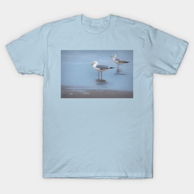 Seagulls At Boca Chica Beach T-Shirt by Debra Martz